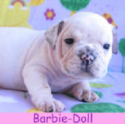 fbarbie-doll115.jpg